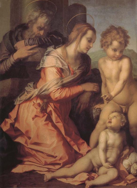 Andrea del Sarto Holy family France oil painting art